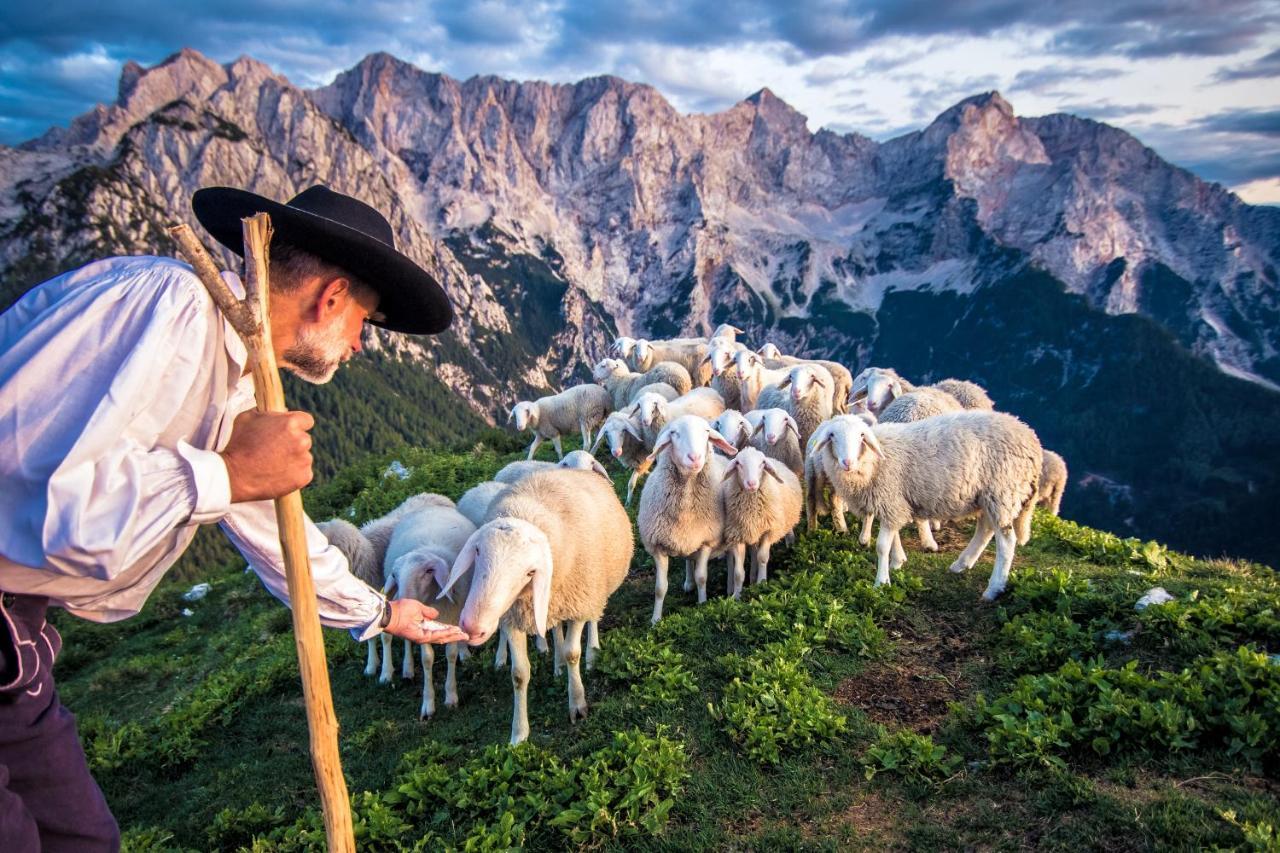 Tourist Farm Senkova Domacija Villa Zgornje Jezersko Eksteriør billede